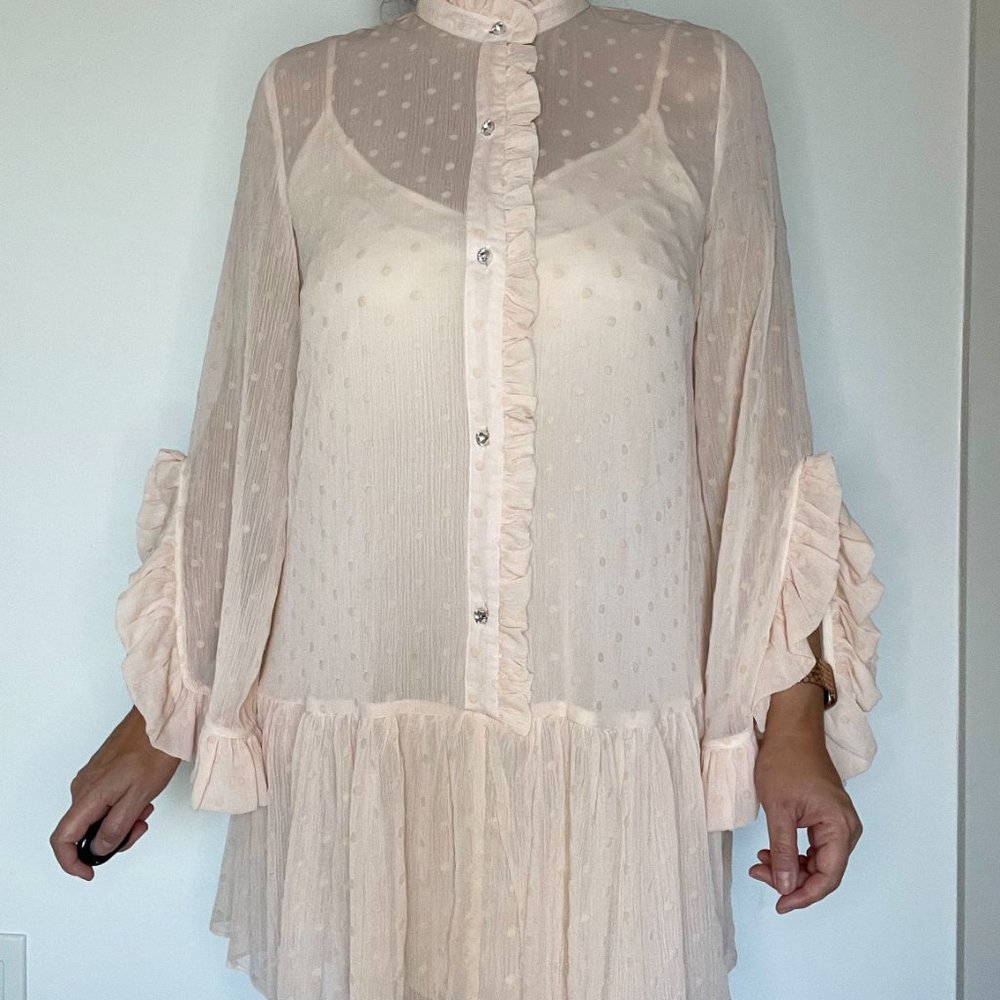 Sheer Polka Dot Dress - Blush